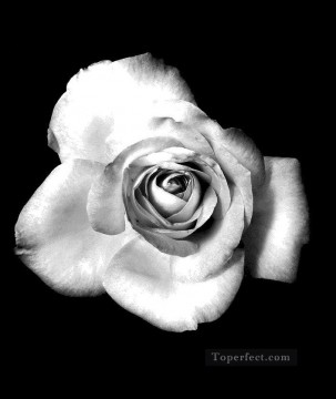 monochrome black white Painting - xsh507 black and white flowers